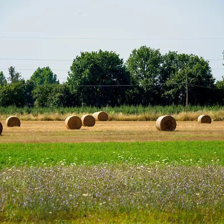 La Scuderia Casa Vacanze Casa di campagna *